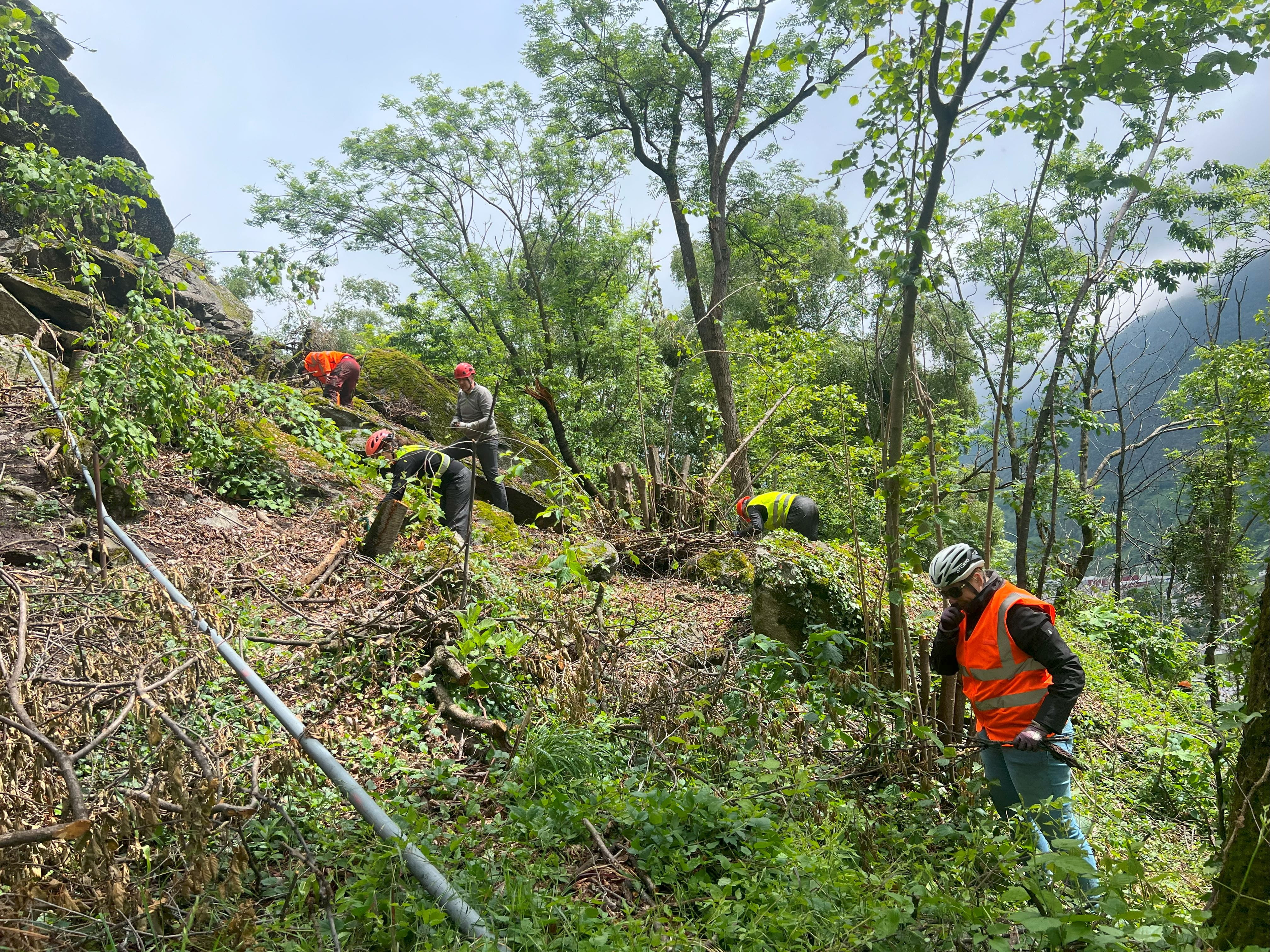 1_Header Schutzwald