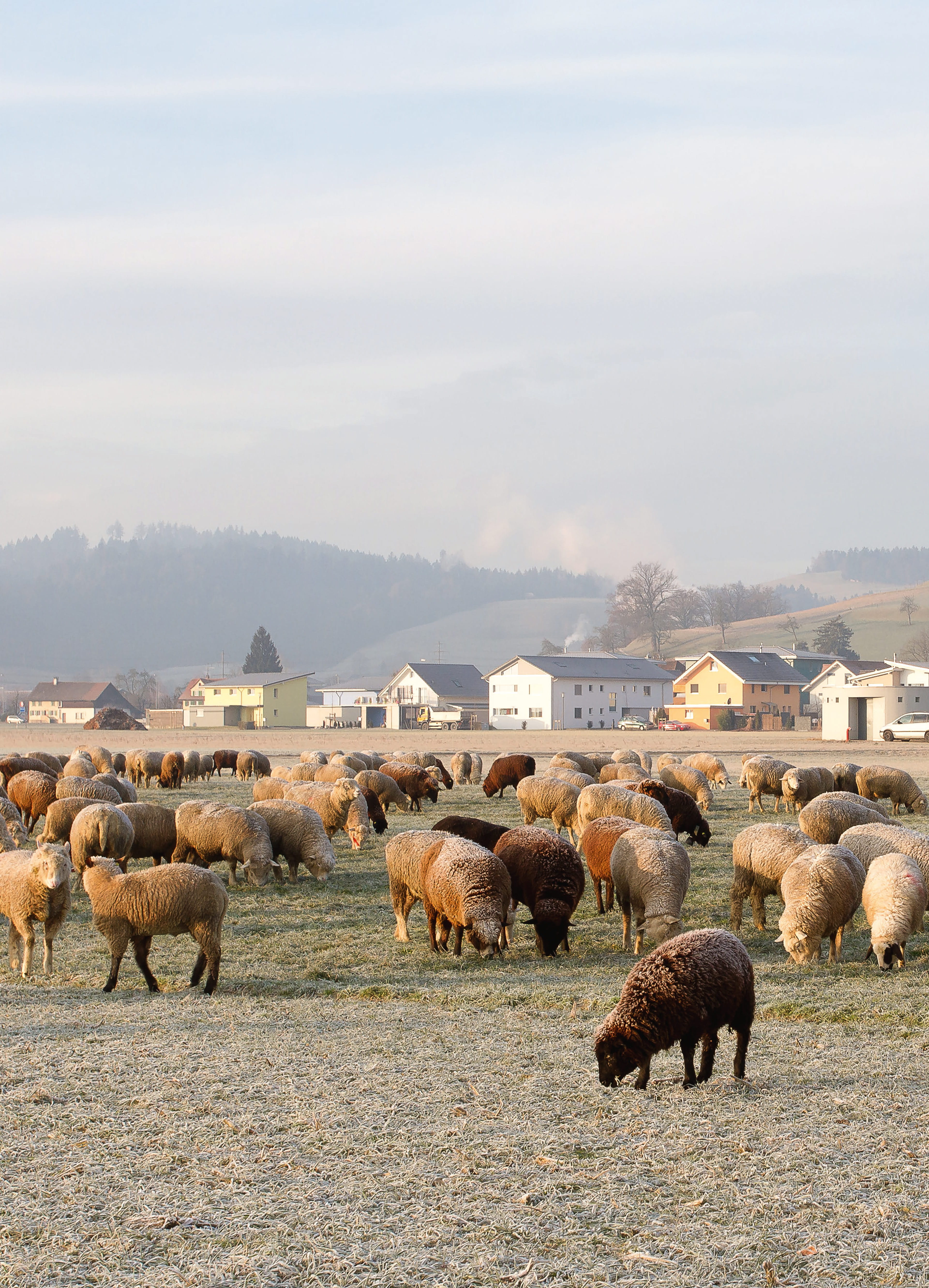 Gazette 1/2016: Willsau