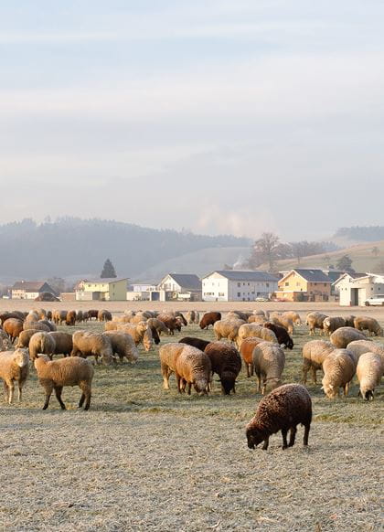 Gazette 1/2016: Willsau Gazette 1/2016: Willsau