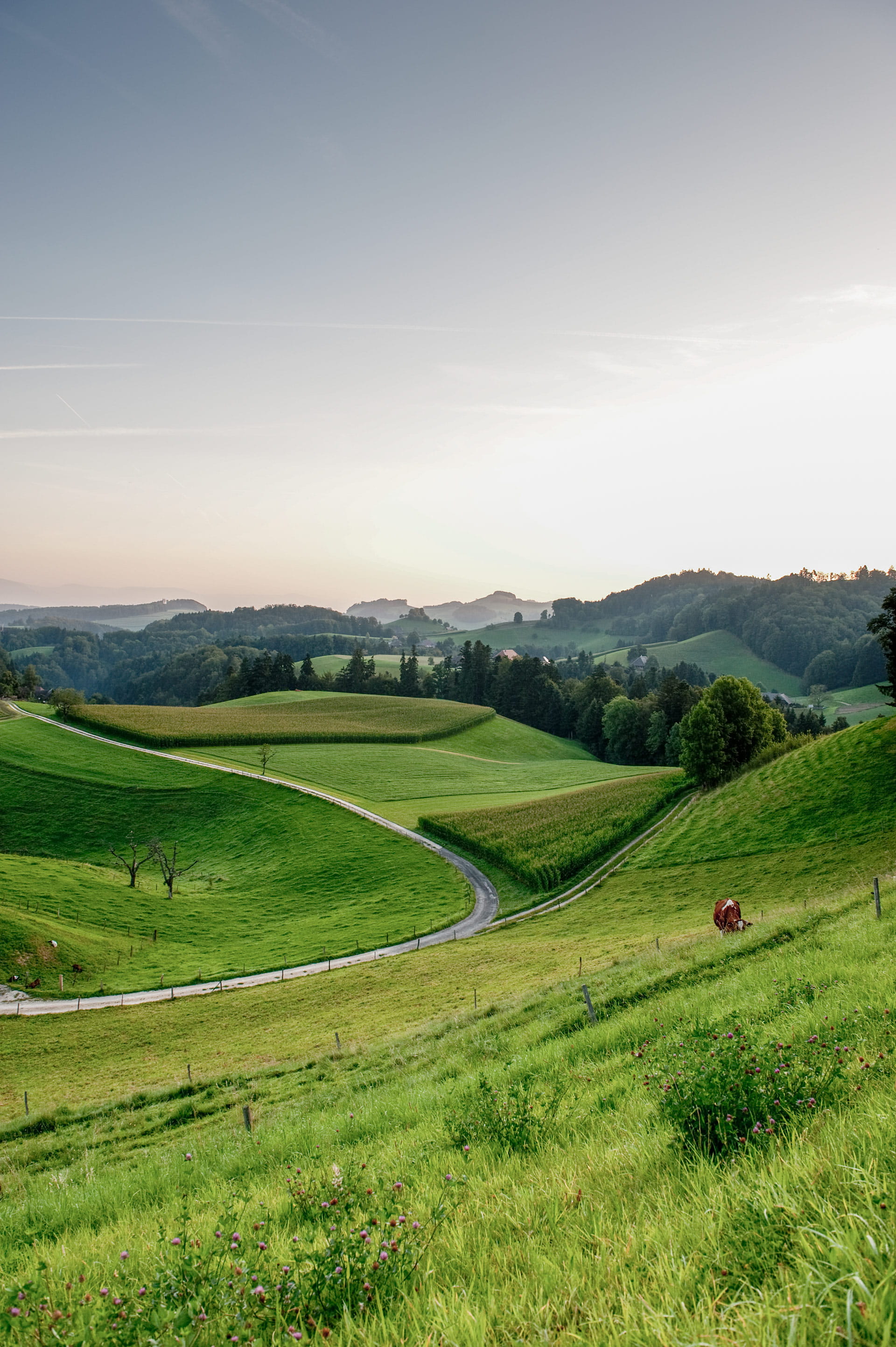 Aussteigen in Affoltern Lueg