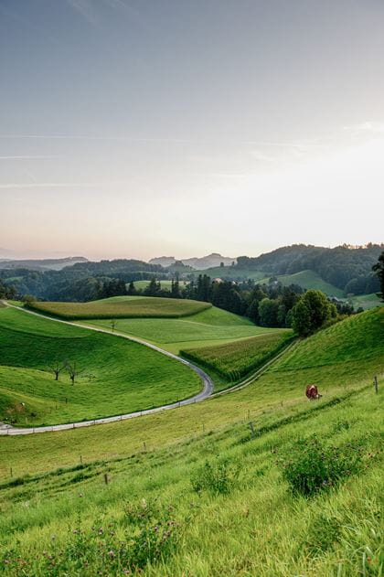 Aussteigen in Affoltern Lueg