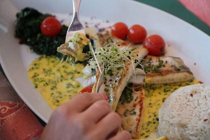 Aussteigen Schwarzwasser Fisch