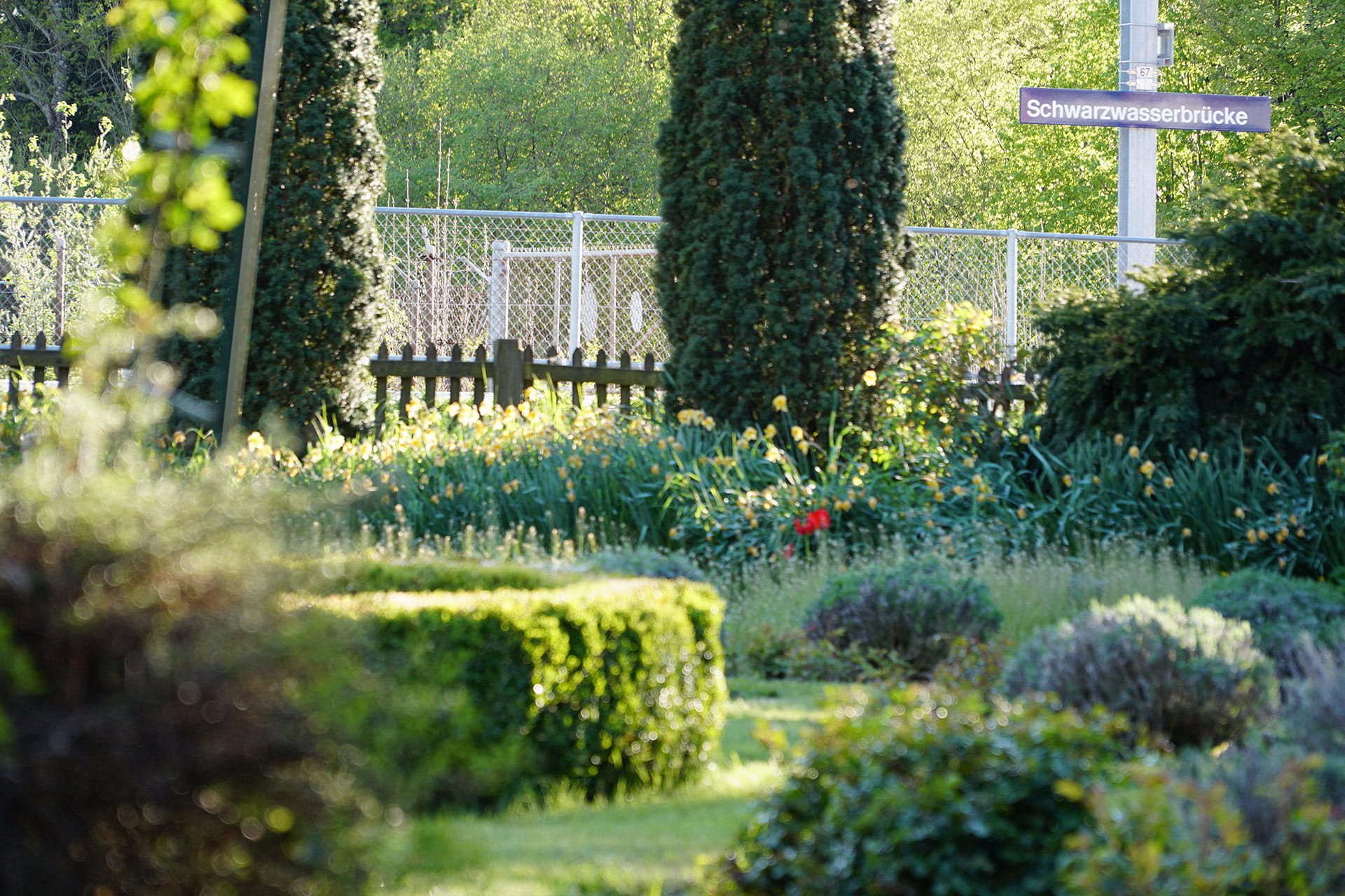 Aussteigen Schwarzwasser Garten