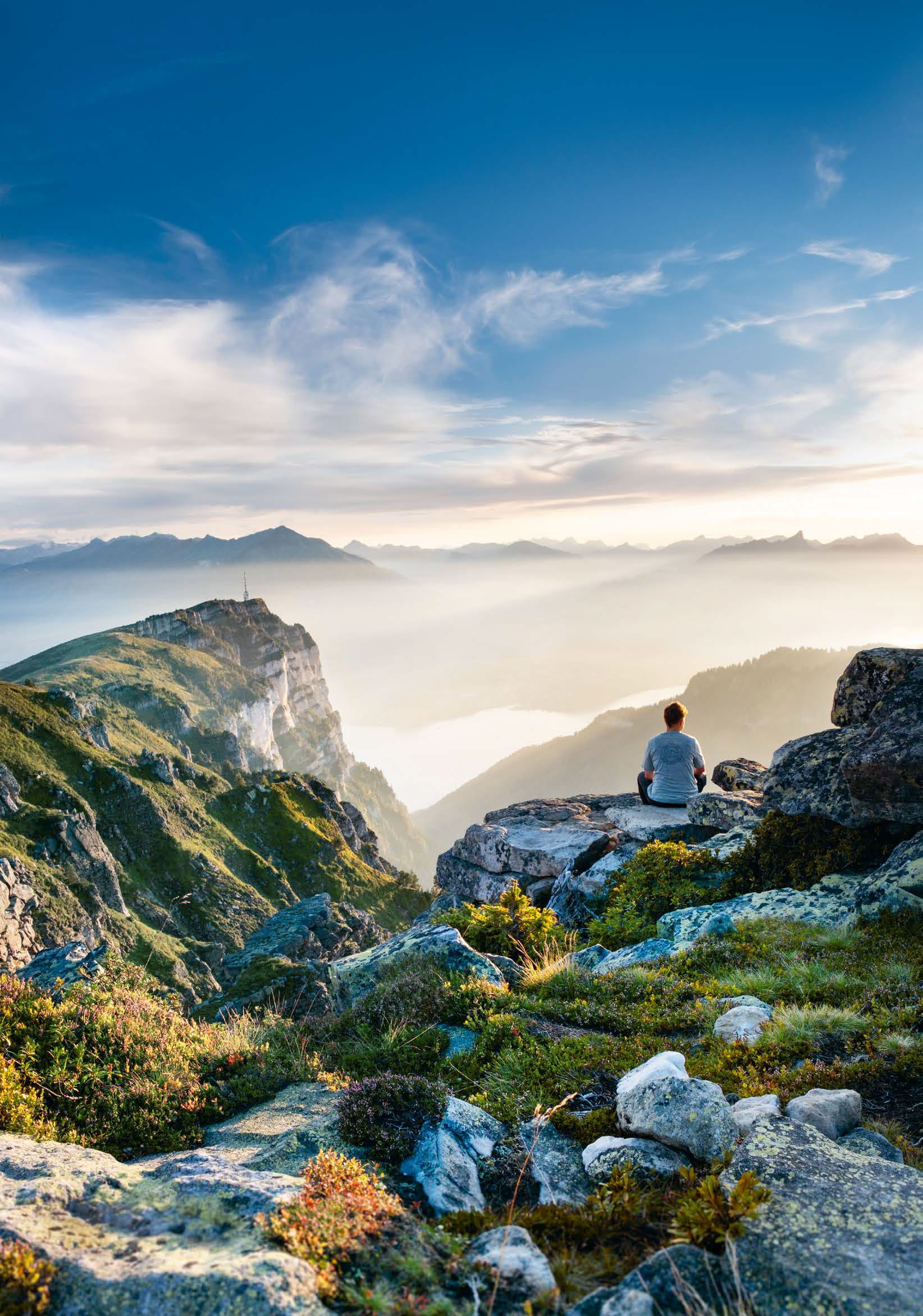 Trouvaillen Juni 2025