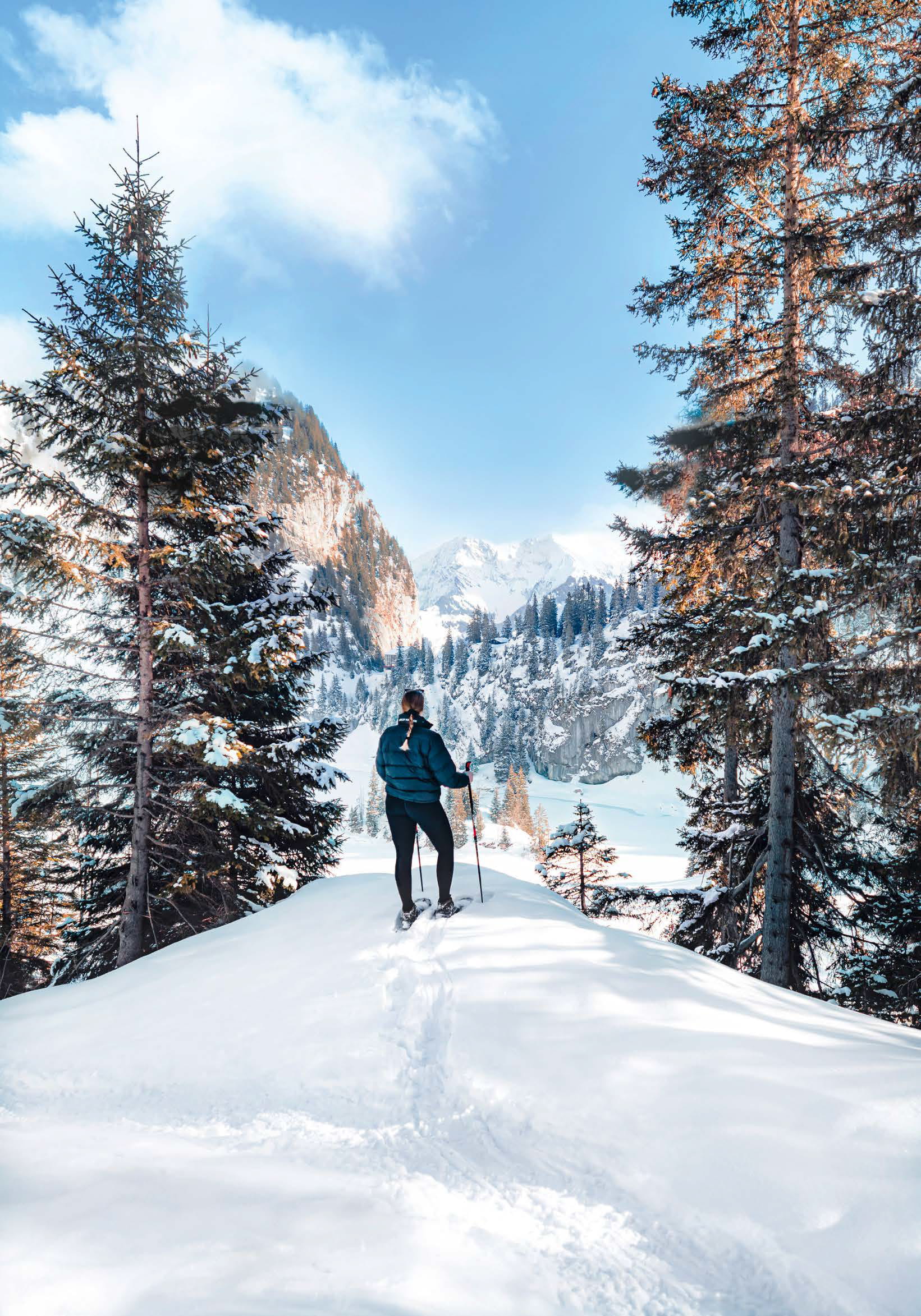 Trouvaillen Ausgabe 12, Januar 2026