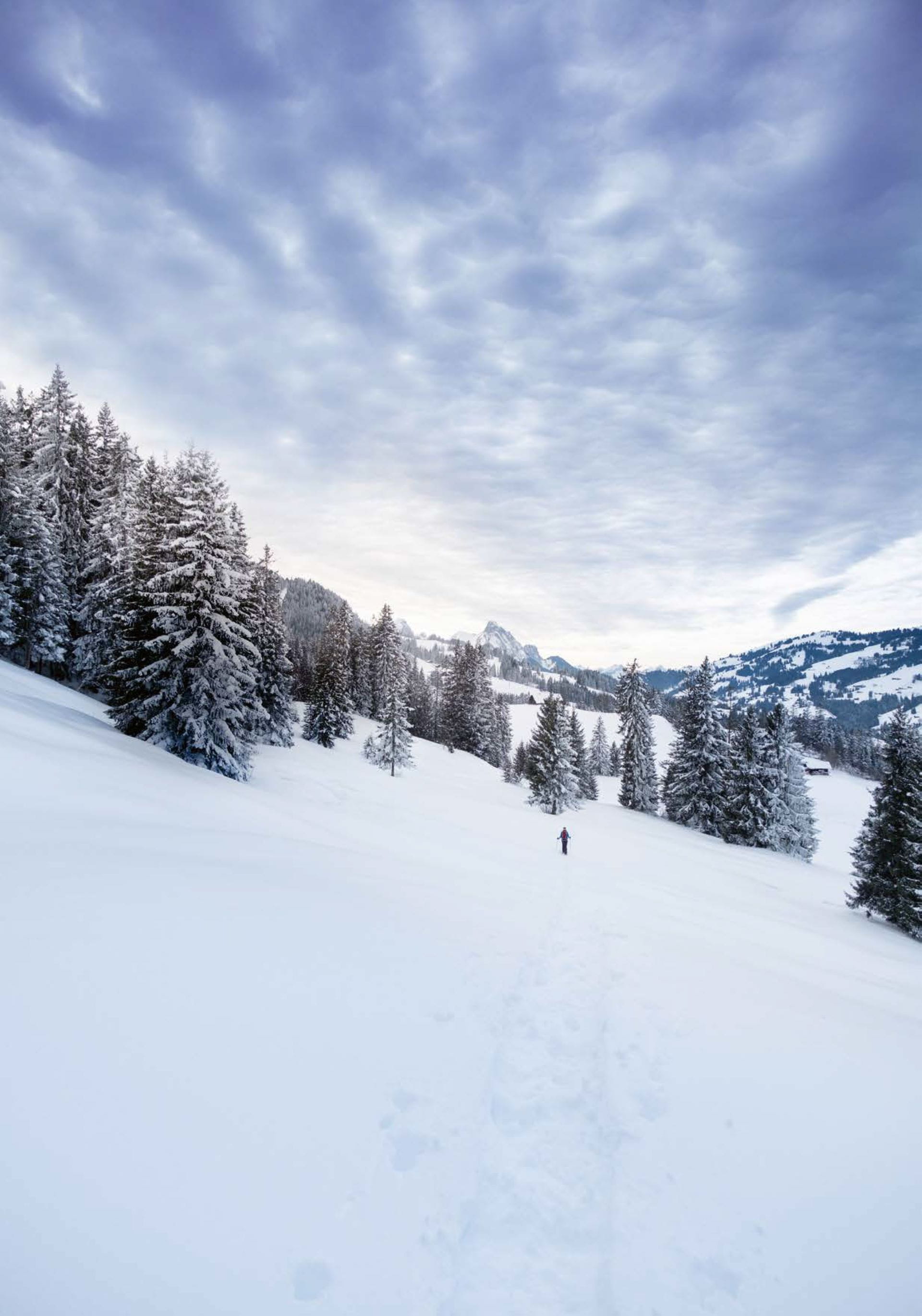 Trouvaillen Nr 8 Jan 24