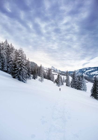 Trouvaillen Nr 8 Jan 24