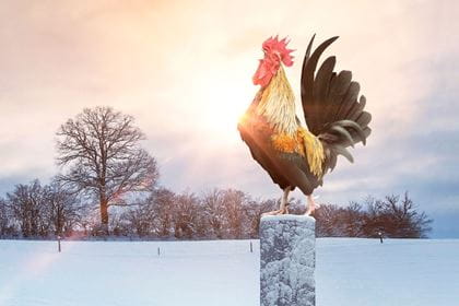 Hahn Fahrplanwechsel