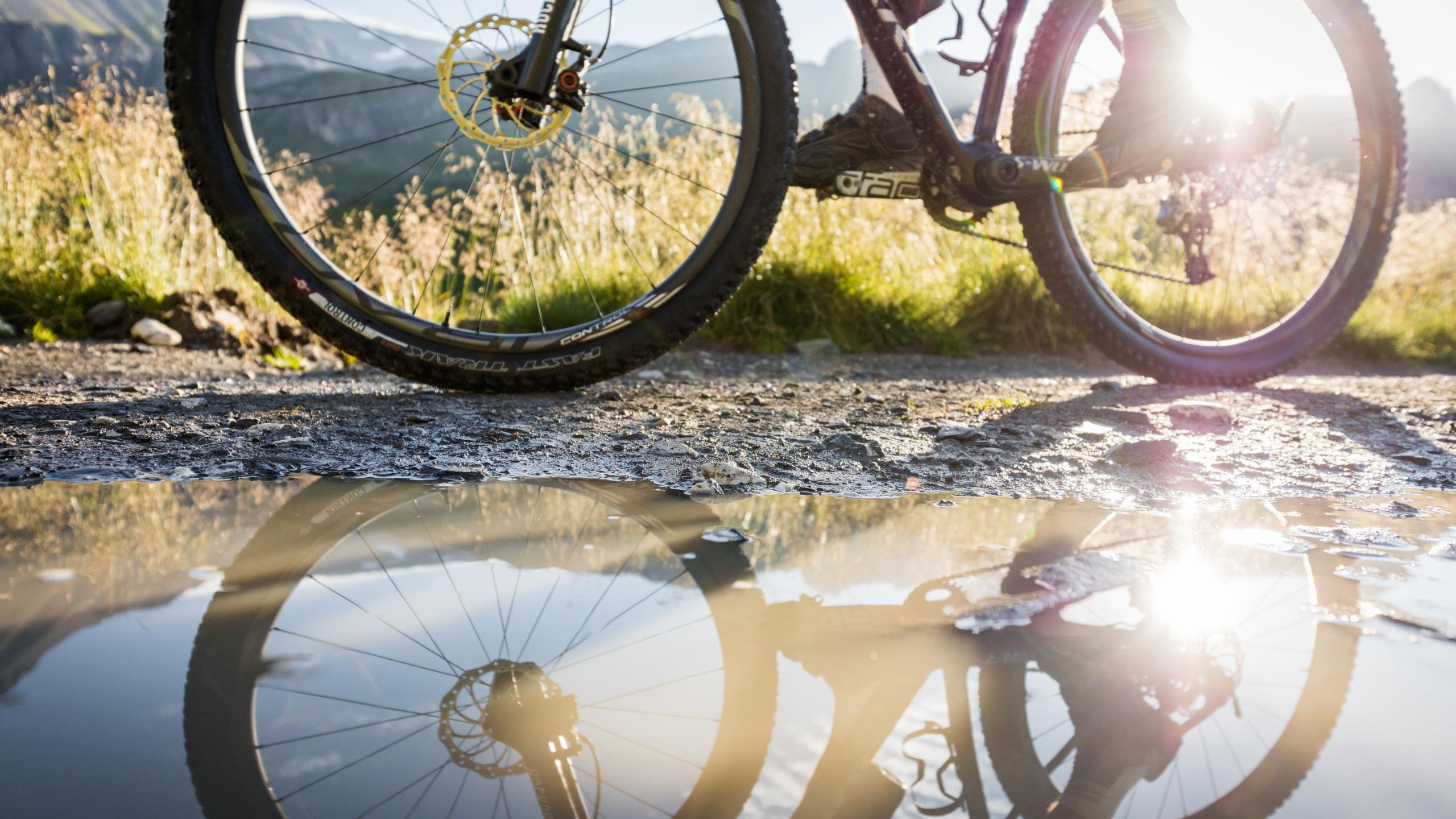 Bild_Velo-Tour_VWP_1