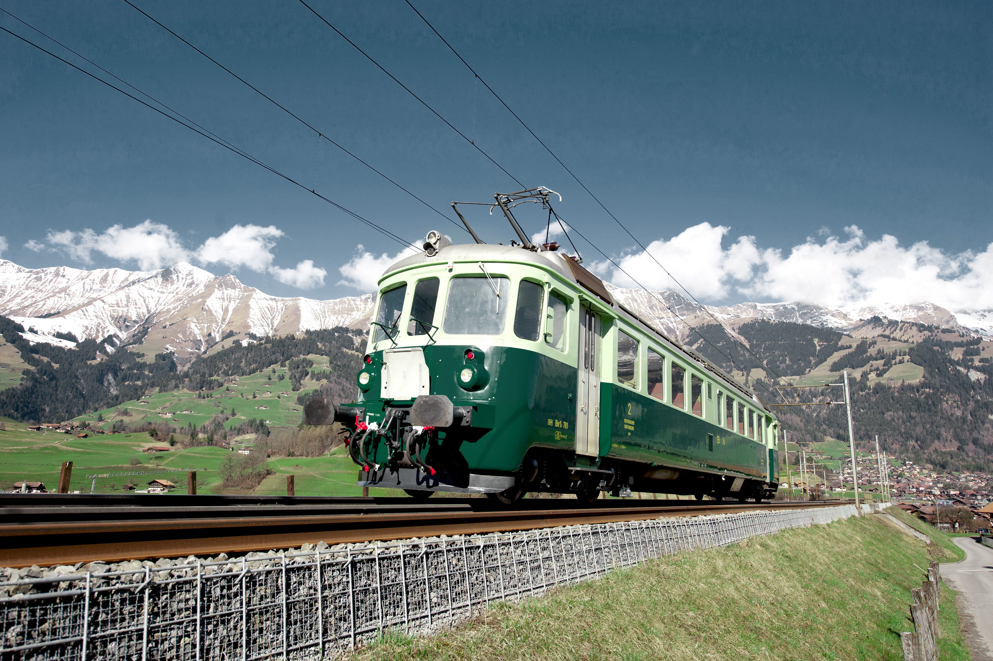 Wellensittich bei Frutigen