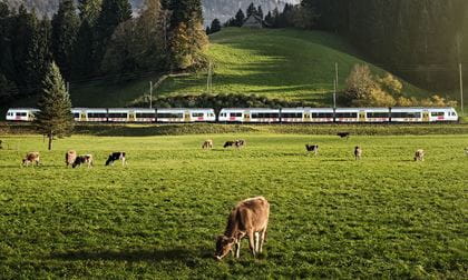 Regioexpress Loetschberger Kambly Zug Sommer
