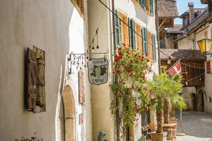 Bielersee Akte Ligerz