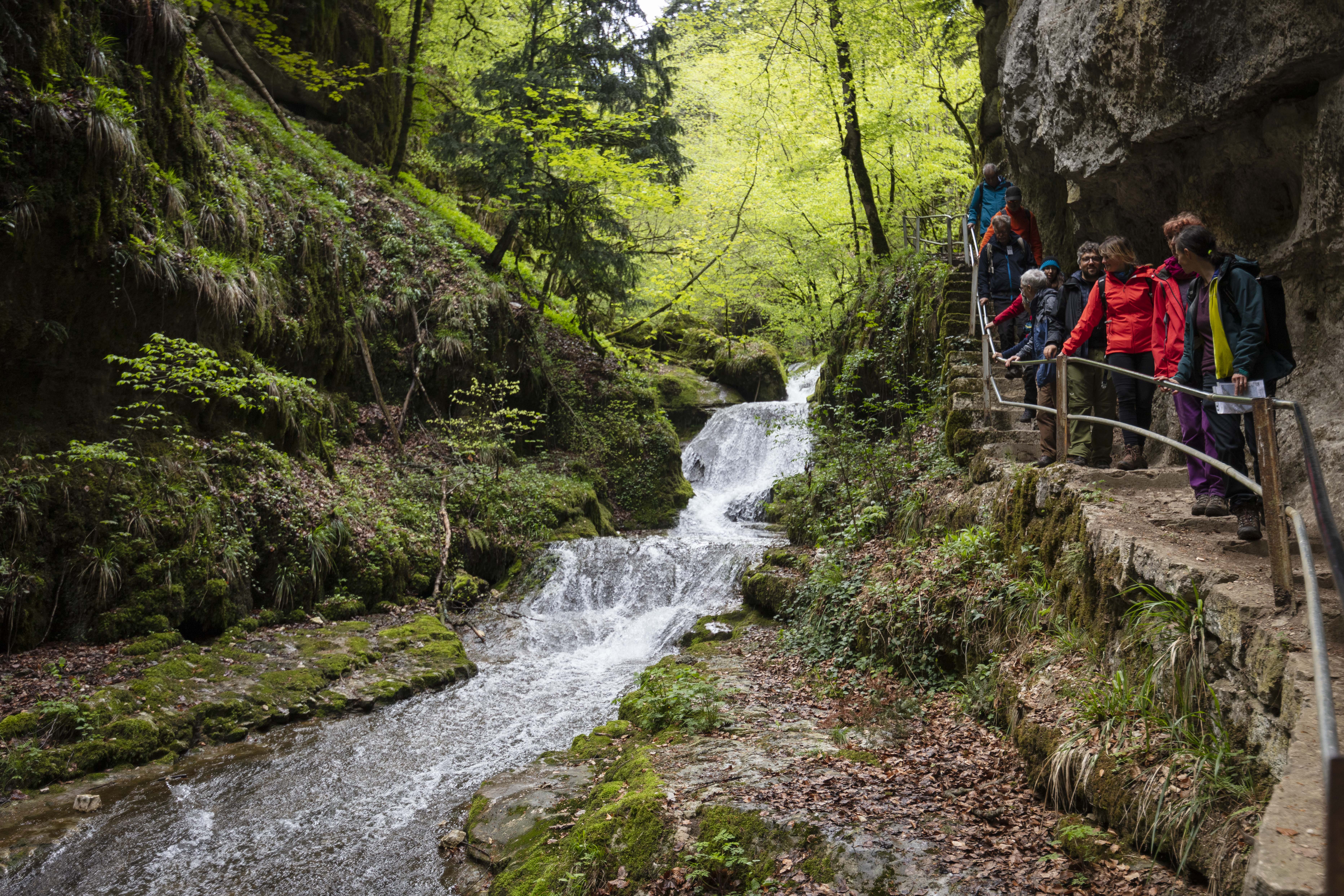 Twannbachschlucht Wanderer