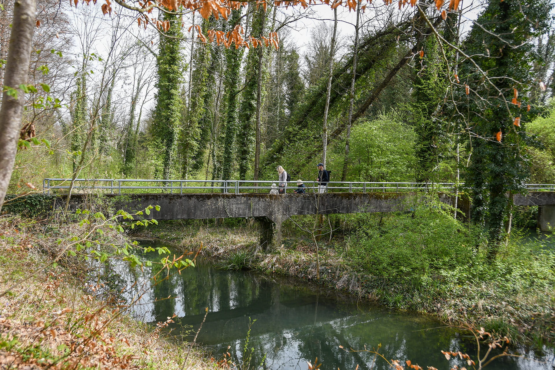 Rätselweg Bibersuche Aarberg-Lyss: Familie auf einer Bruecke in der Natur