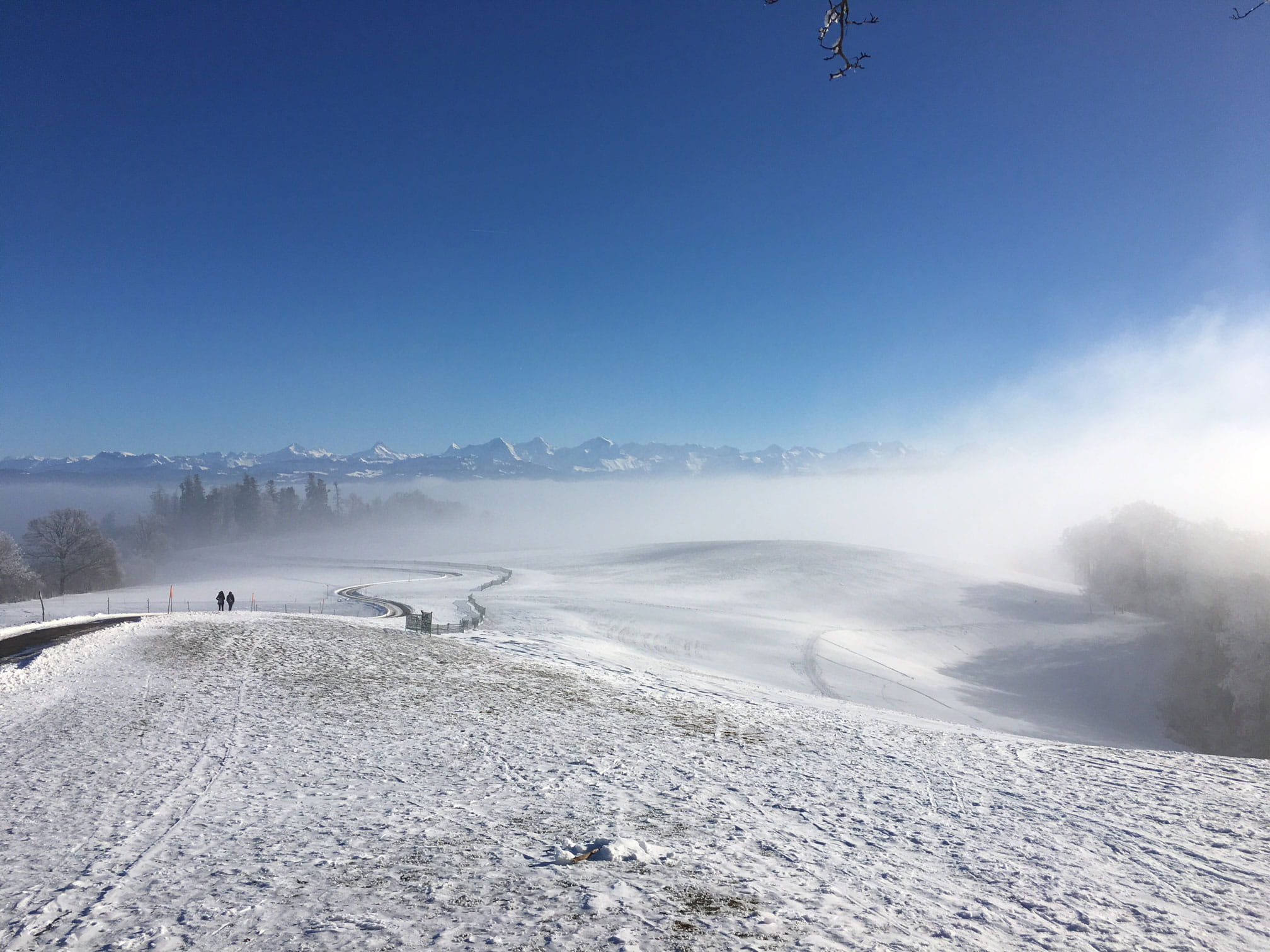Gurten Blick auf die Alpen