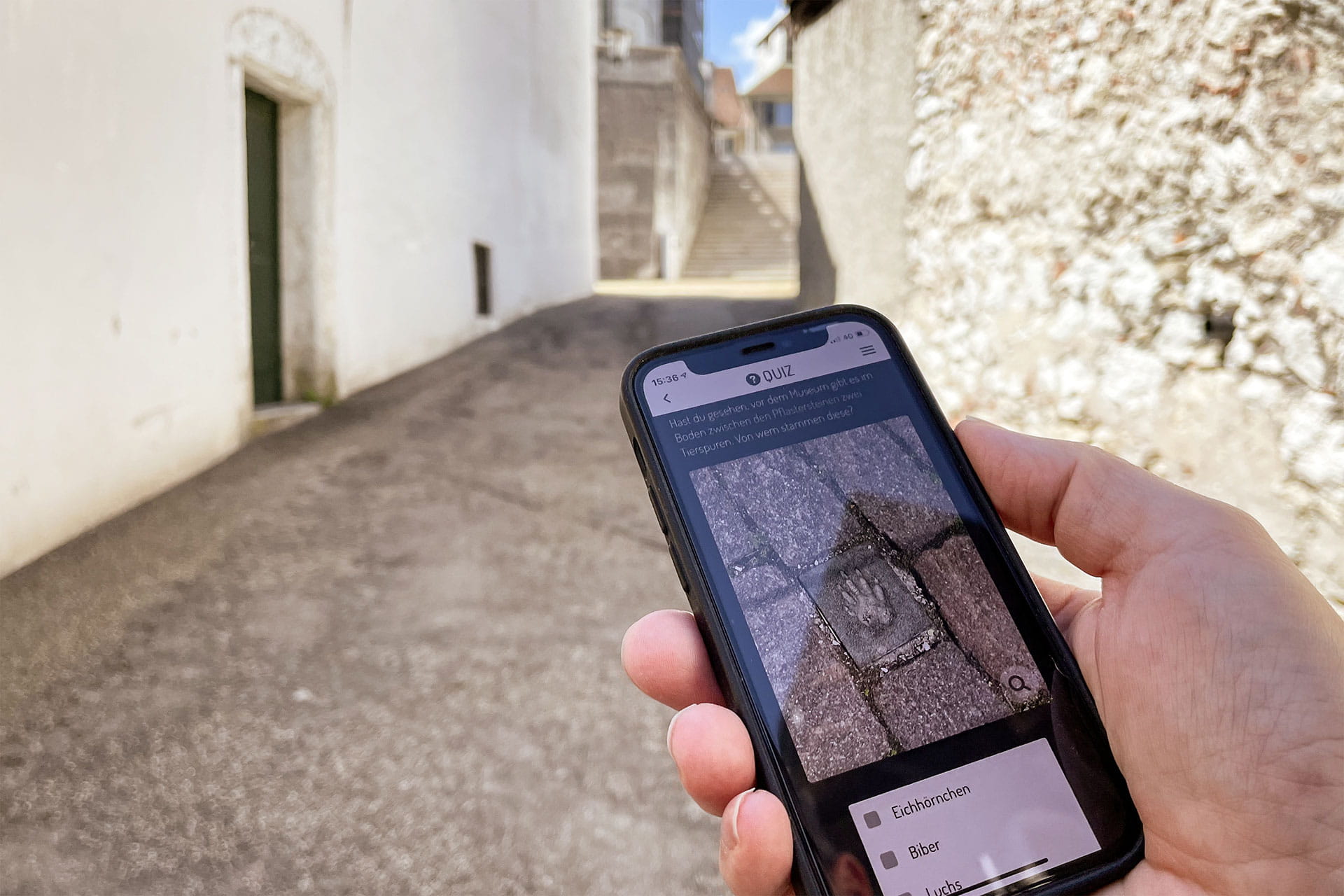 Schnitzeljagd zur Stadtnatur: Insektenhotel