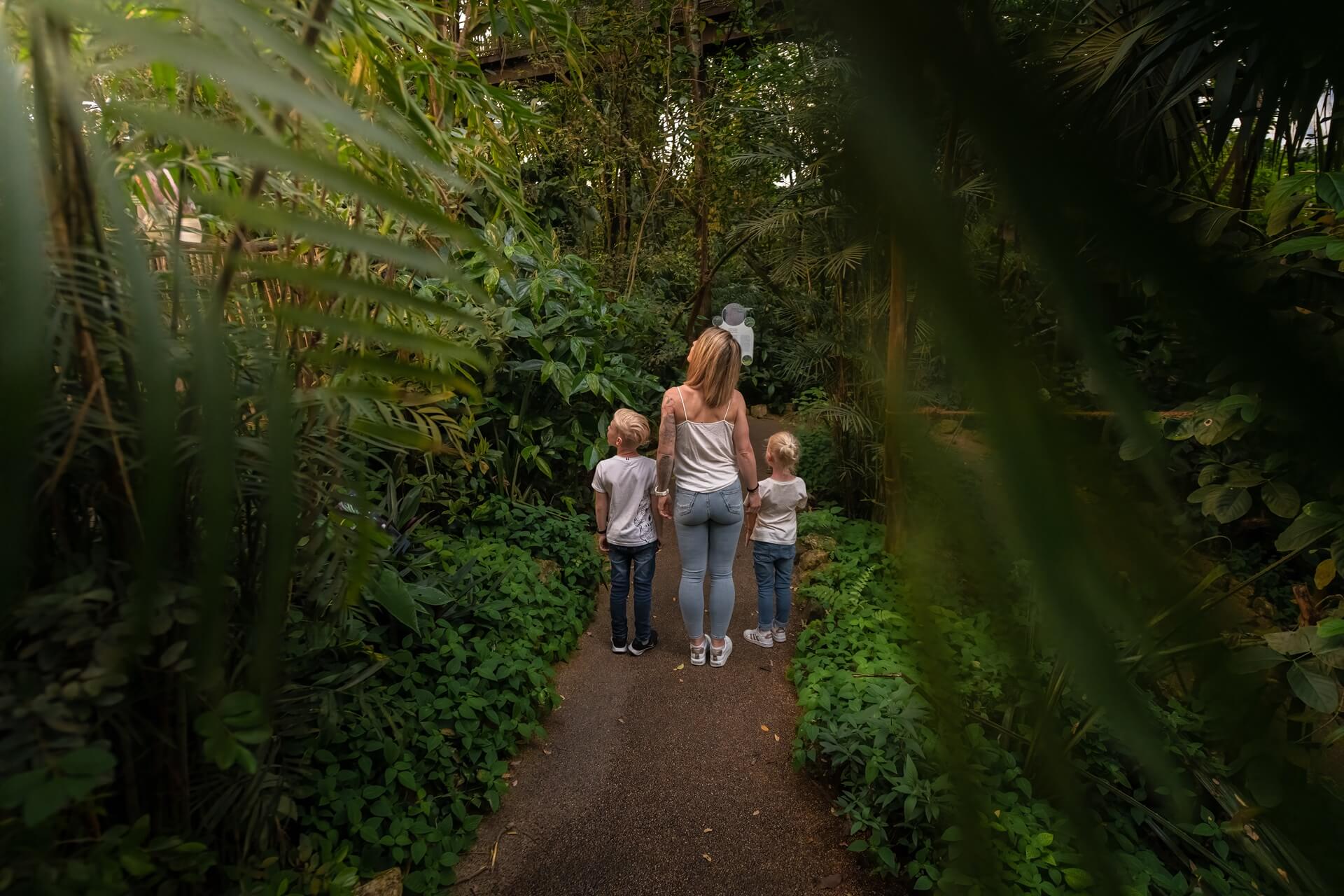 Jungle Trek im Papiliorama