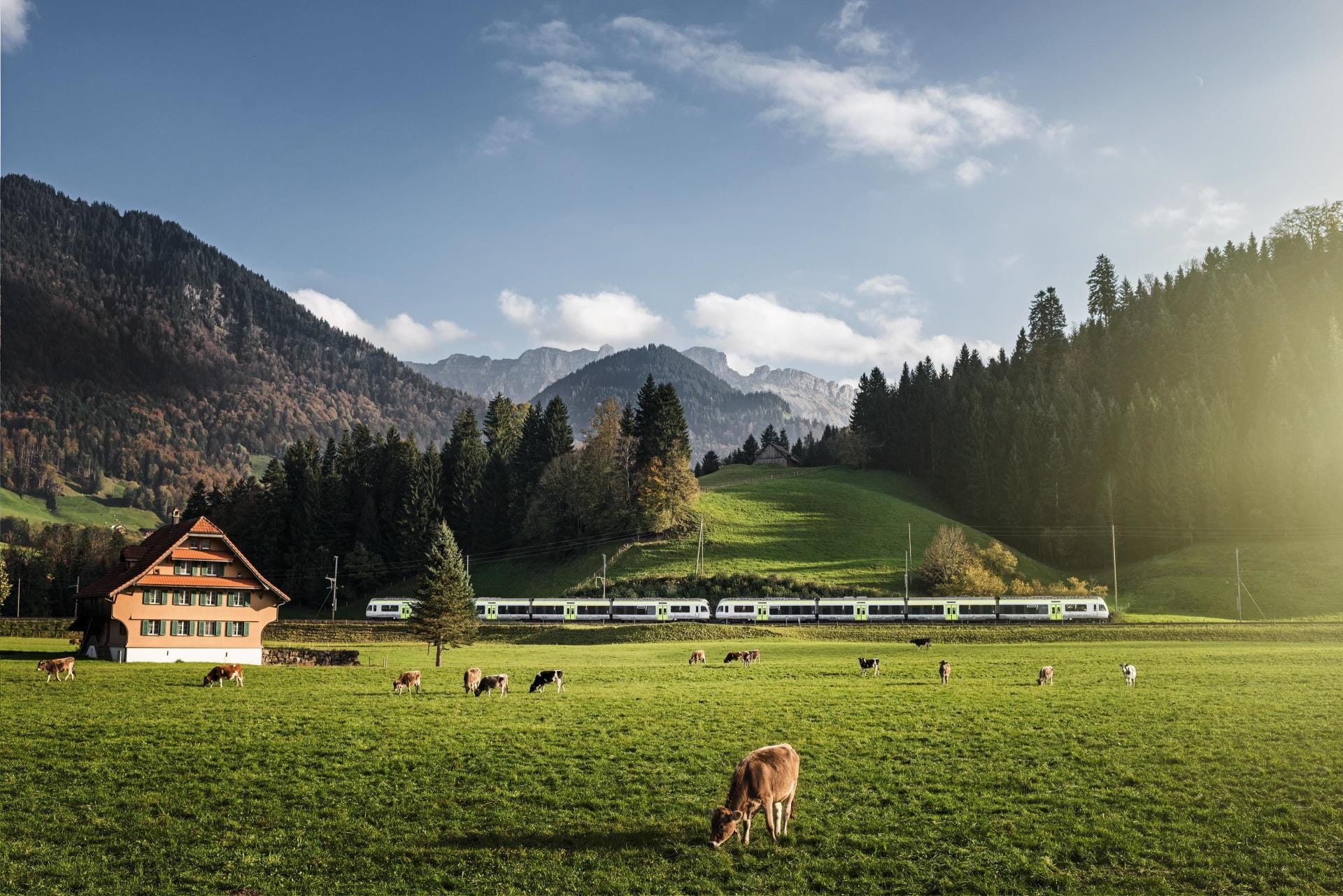 Heimatland RegioExpress Bern Luzern Sommer 1
