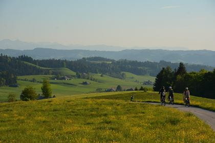 Schwarze Spinne Weg