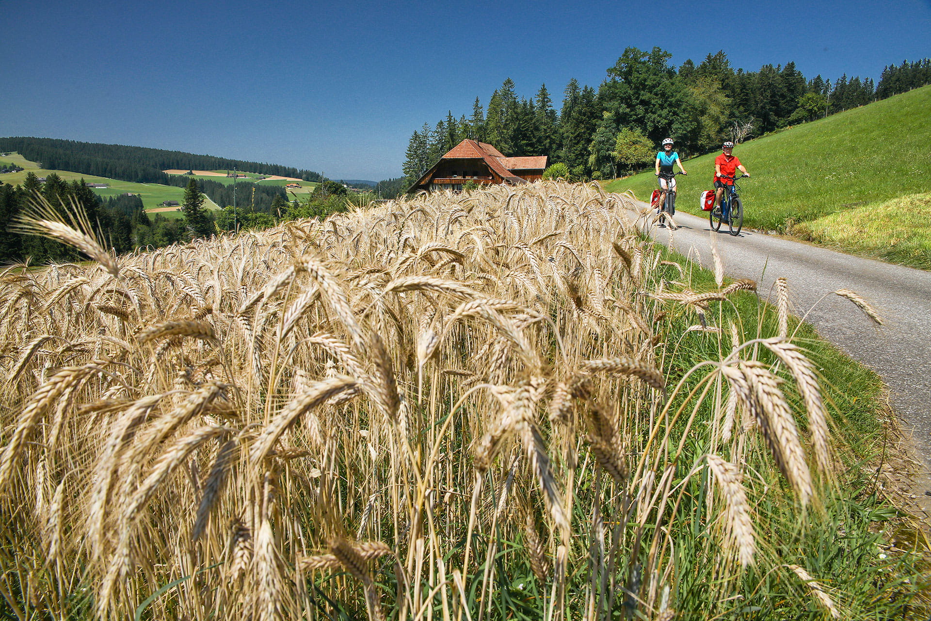 E-Bike-Rundtour Herzschlaufe Langnau
