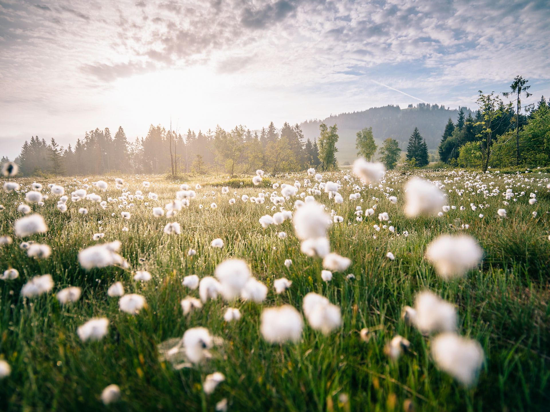 Unesco Biosphäre Entlebuch - Moorlandschaft