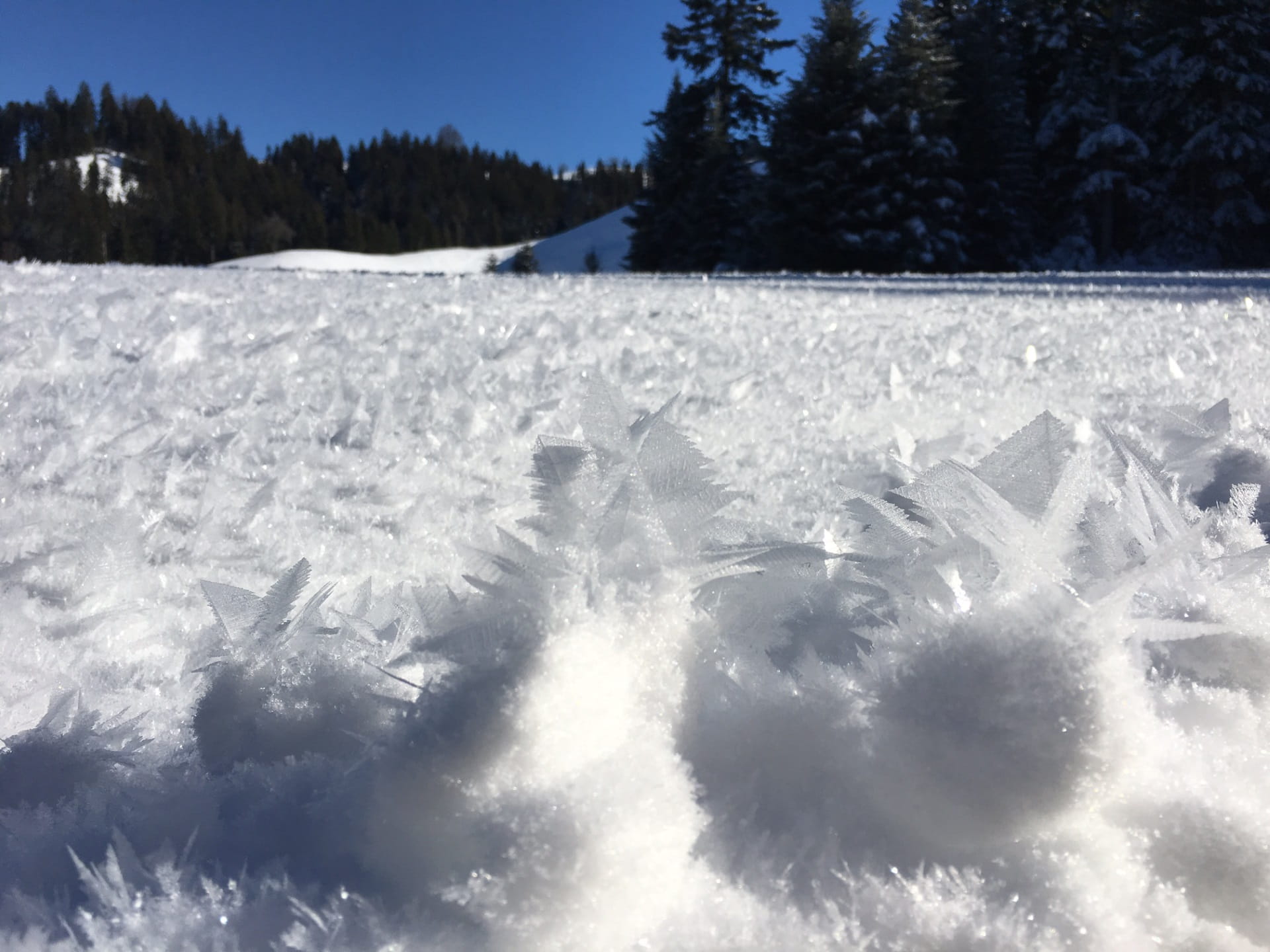 Eine abwechslungsreiche Schneeschuhrunde erwartet Sie im emmentalischen Trub.