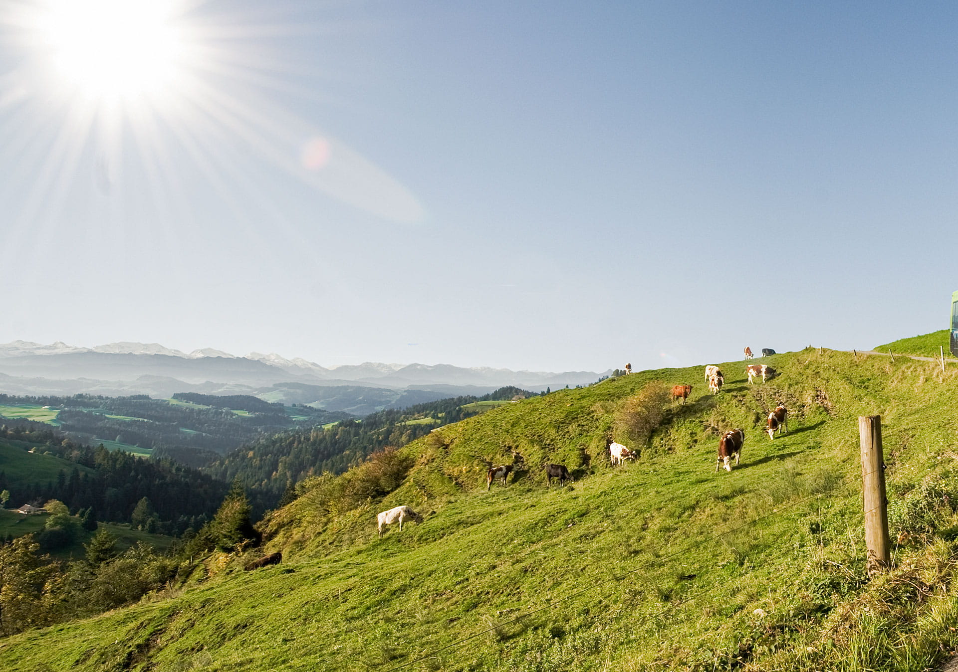 Mit dem Wanderbus zum Chuderhüsi.