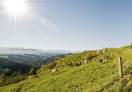 Mit dem Wanderbus zum Chuderhüsi  Mit dem Wanderbus zum Chuderhüsi.