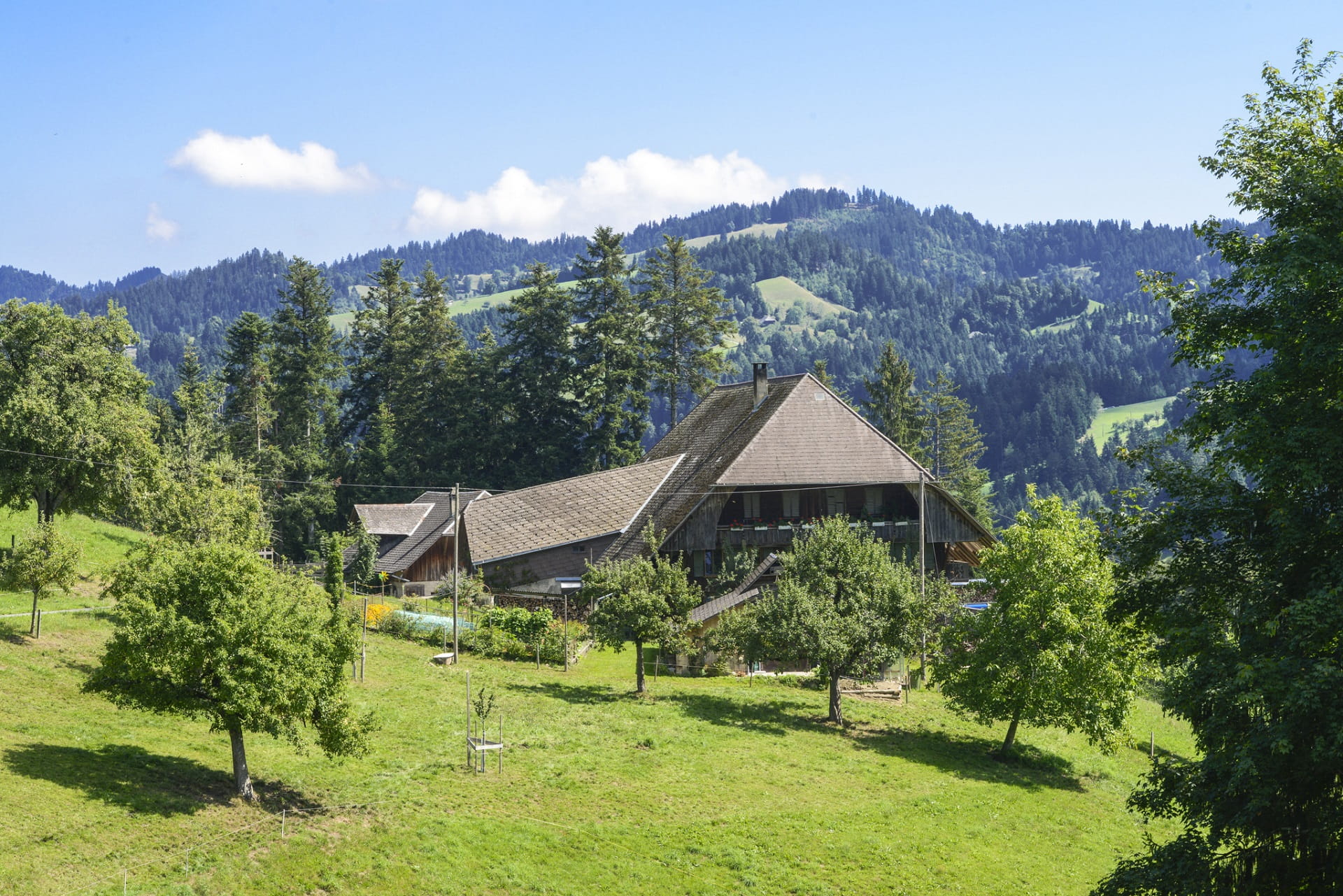 BLS Wanderbus - Auf dem Wanderweg von Langnau i. E. nach Zollbrück