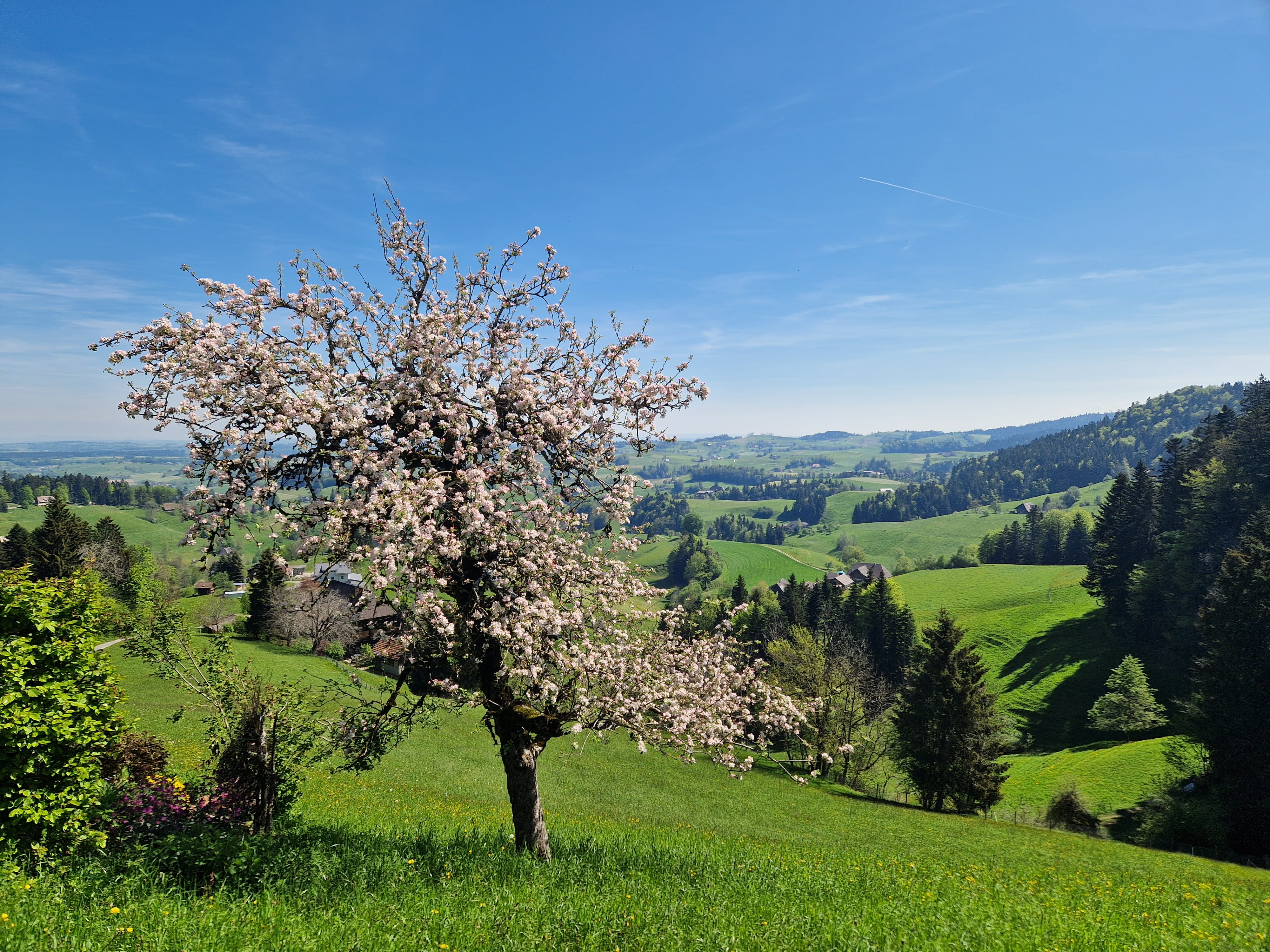 Duerrenroth_Fritzenfluh_Eriswil_cpr_Matthias_Ryser