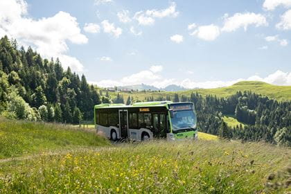 Wanderbus Lderenalp