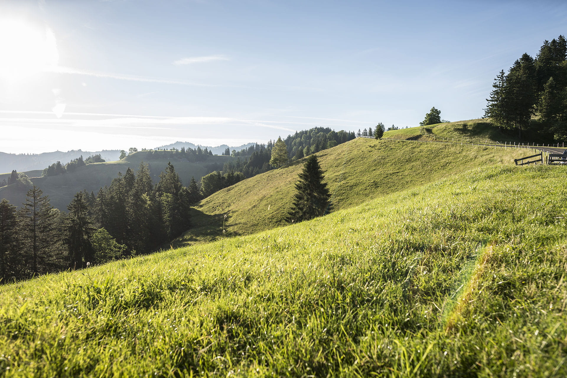 Mit dem BLS Wanderbus durch die wunderschöne Napf Landschaft.