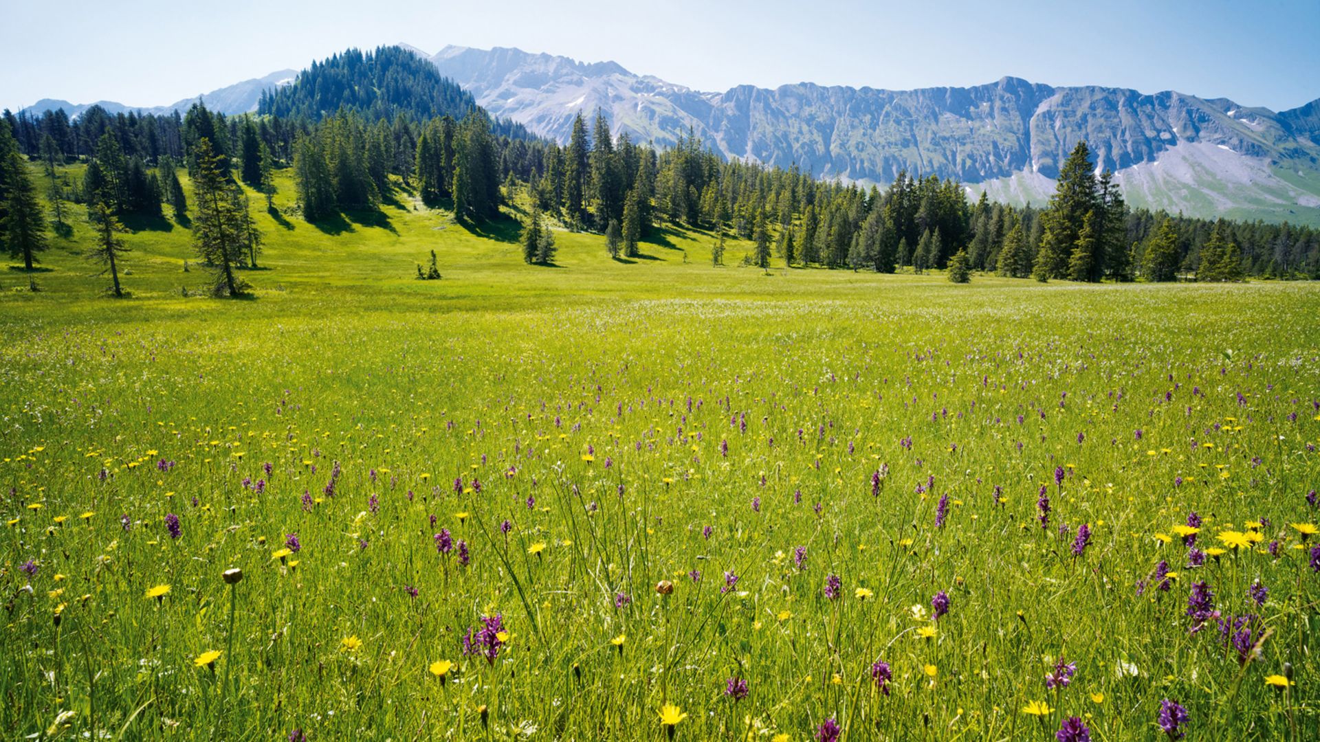 heimatland biosphaere wettbewerb