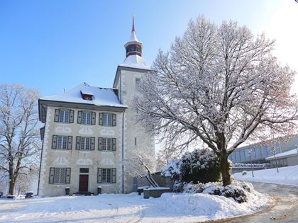 Willisau im Winter - Die Kirche umgeben von verschneiten Wiesen und Bäumen.