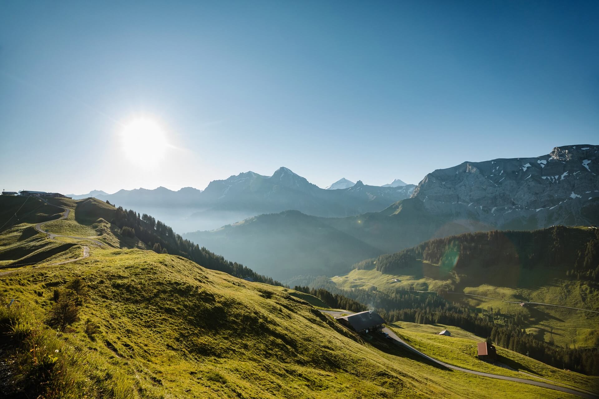 Natur im Sommer Adelboden Lenk