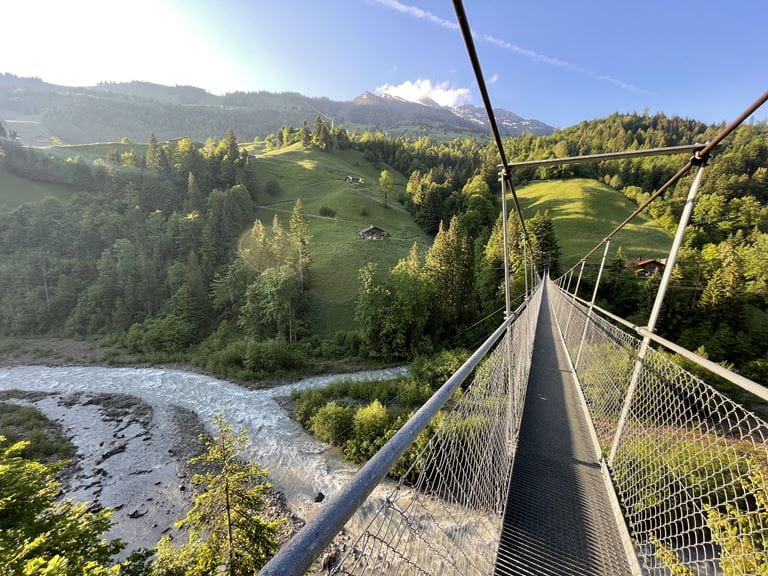 Haengebruecke Hostalde Aussicht
