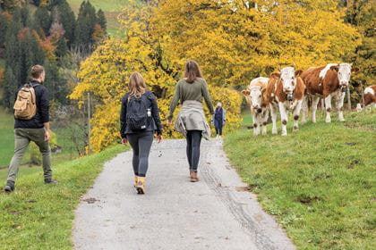 BLS Bahnwanderweg Lötschberger Nordrampe