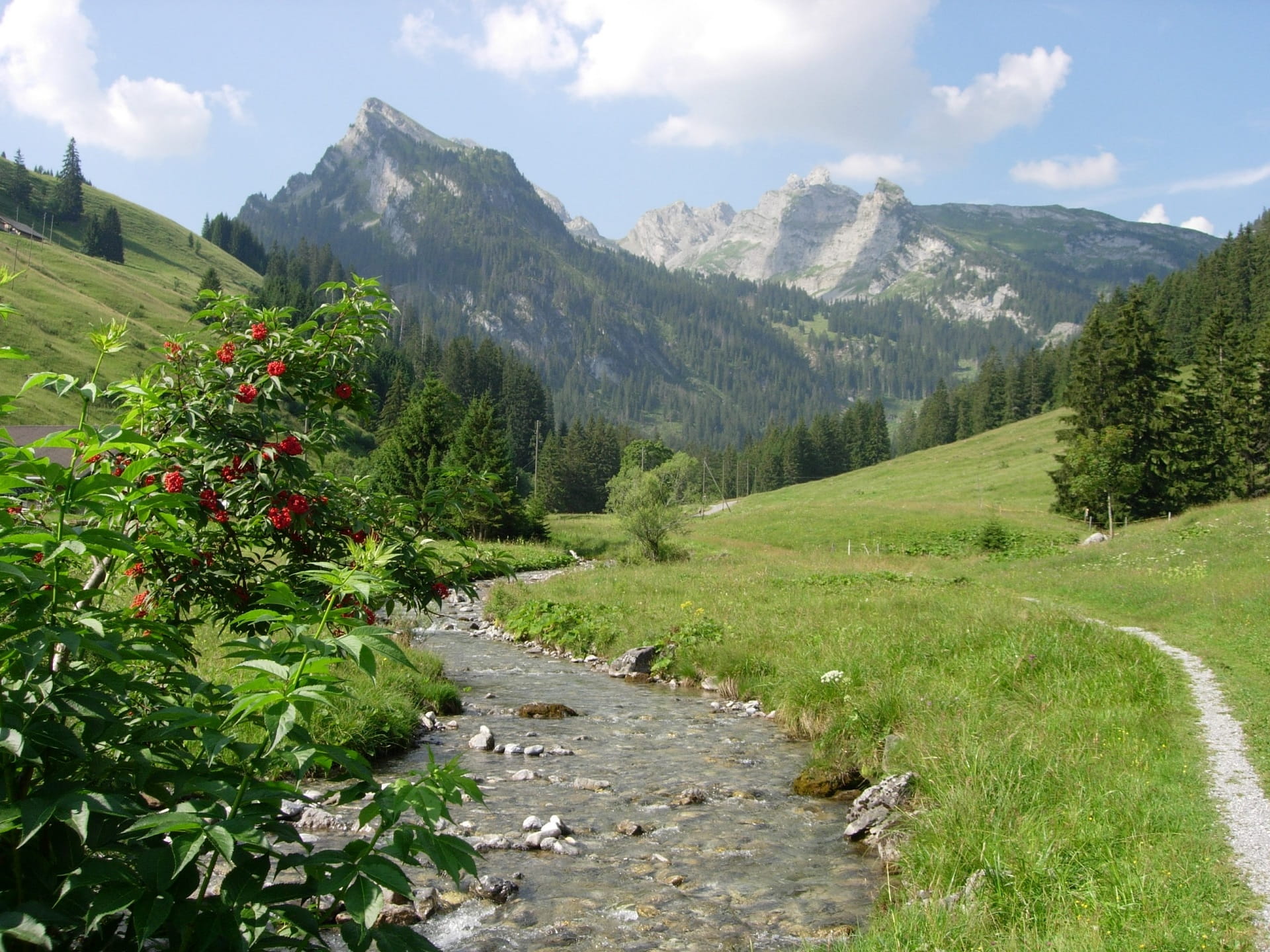 Der Senggibach fliesst talwärts