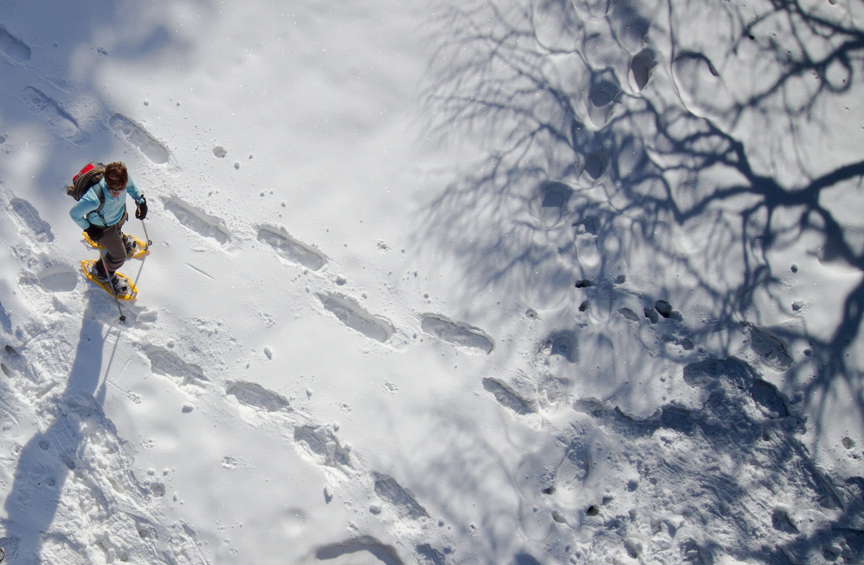 Schneeschuh-Spass im Diemtigtal aus der Vogelperspektive
