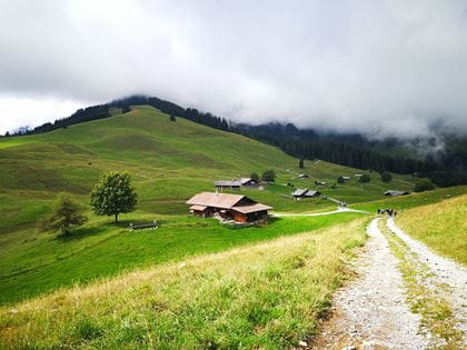 Wandersommer Diemtigtal