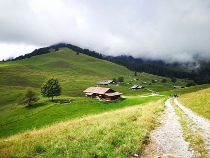 Wandersommer Diemtigtal