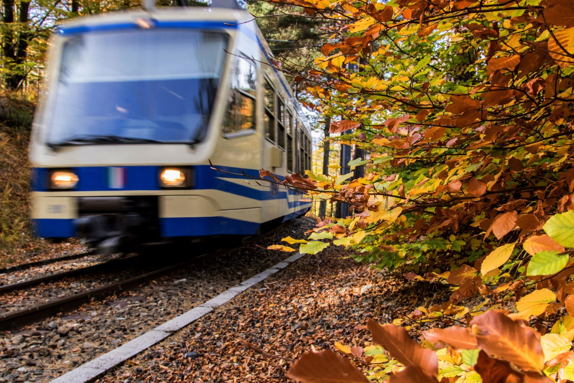Ferrovia Centovalli Valle Vigezzo Ausflüge