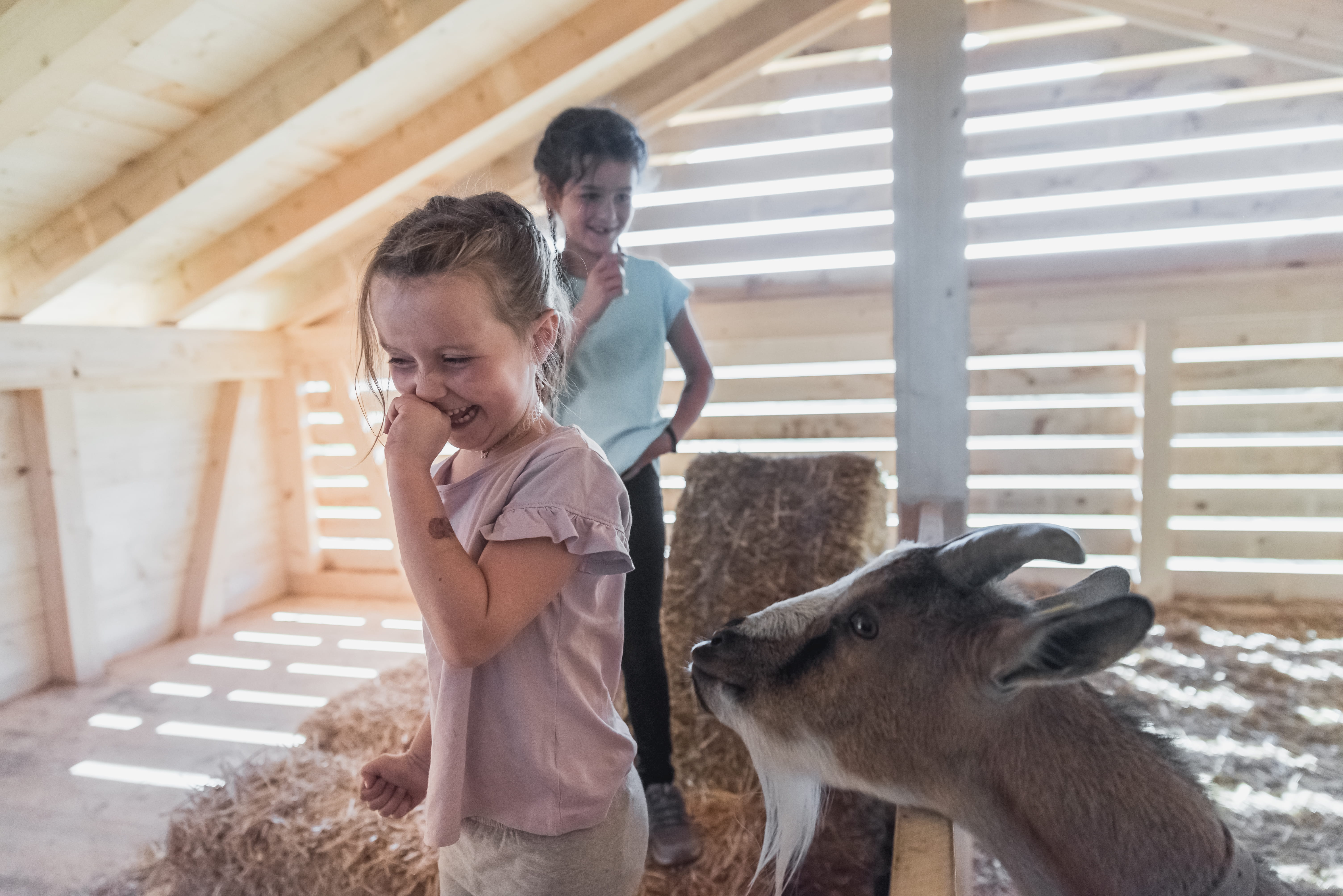 Streichelzoo Wispile