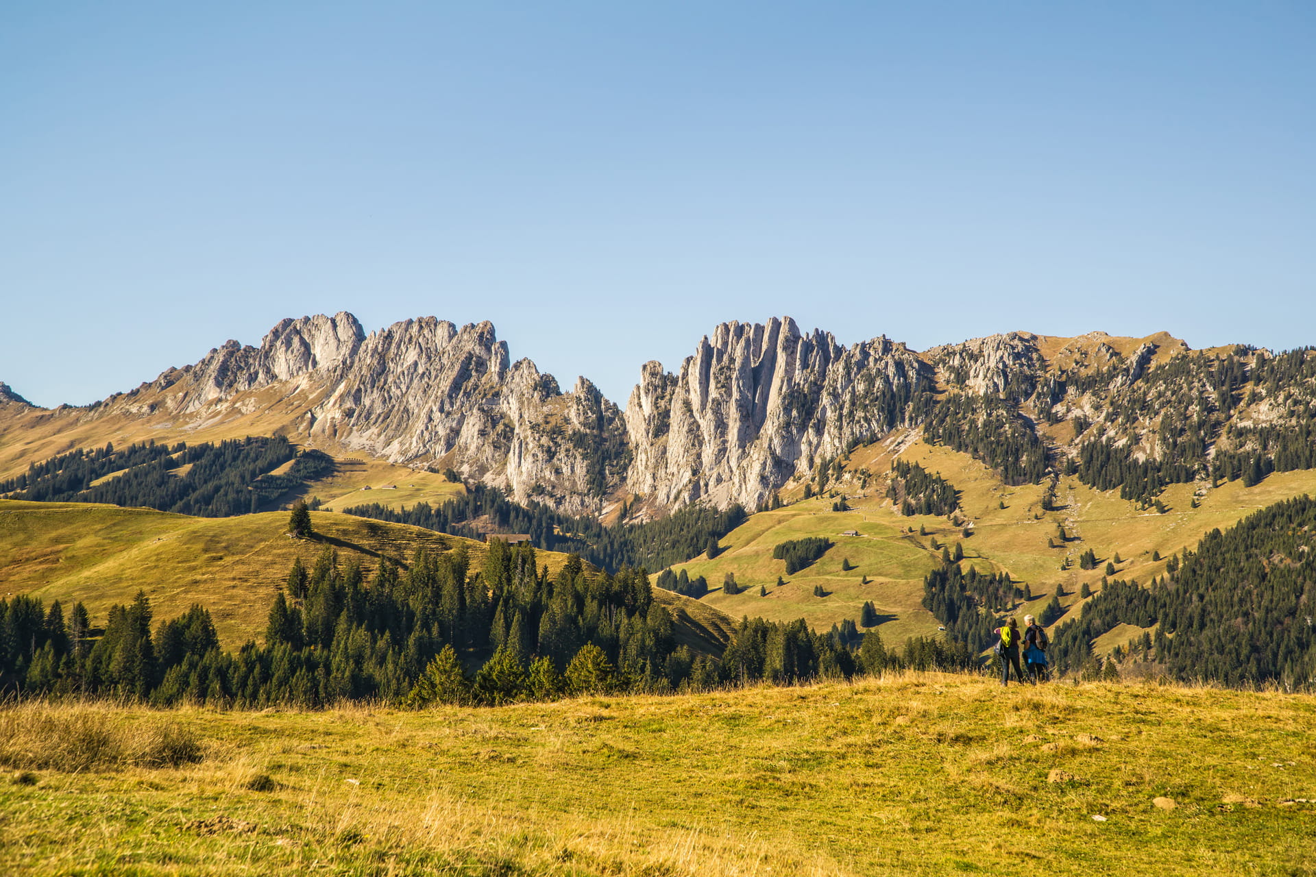 Die Felskette der «Gastlosen», auch «Saaneländer Dolomiten» genannt, befindet sich im Grenzgebiet der Kantone Freiburg, Bern und Waadt.