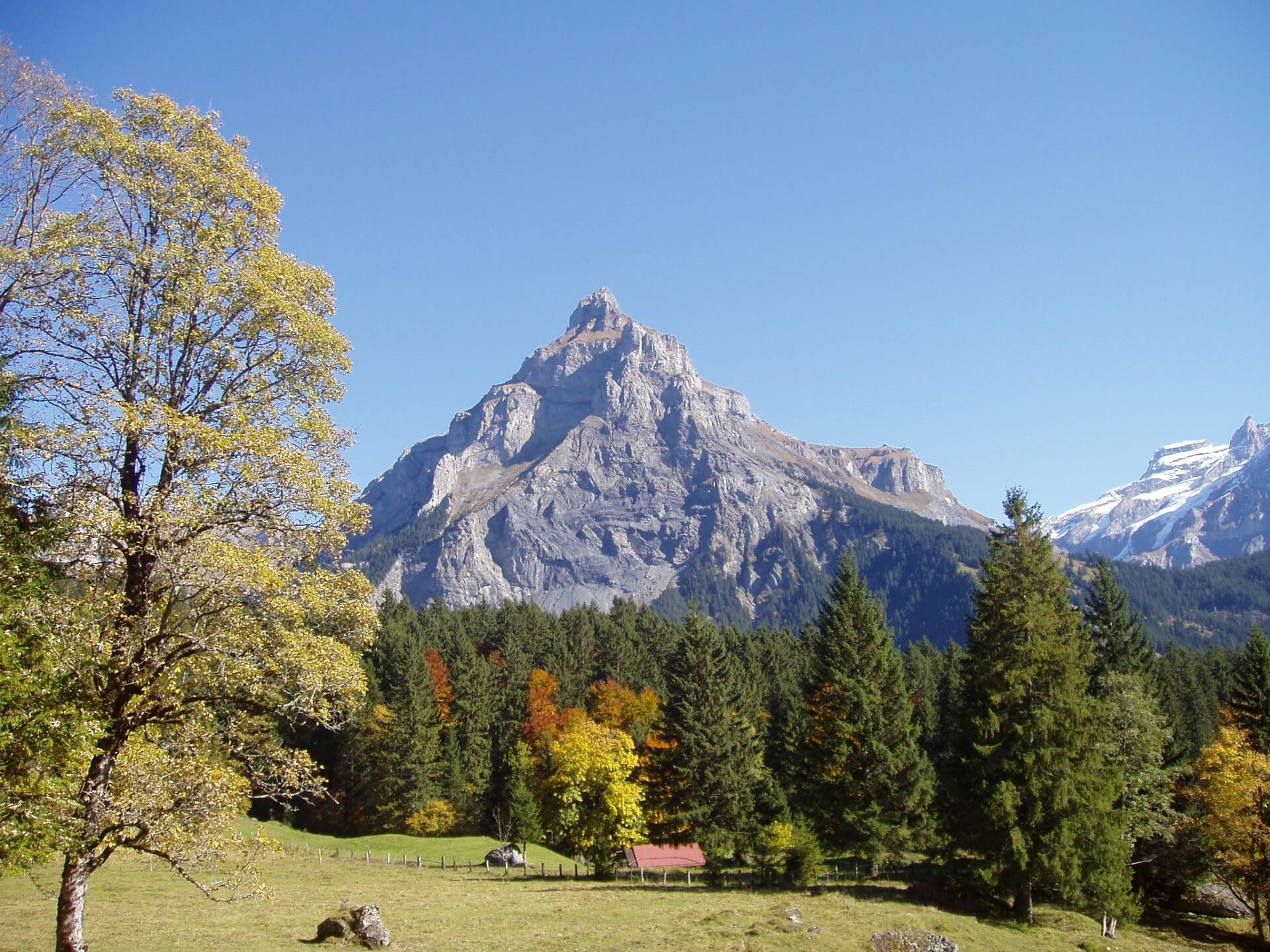 Bäume und Berge Wildnis-Trail Kandersteg