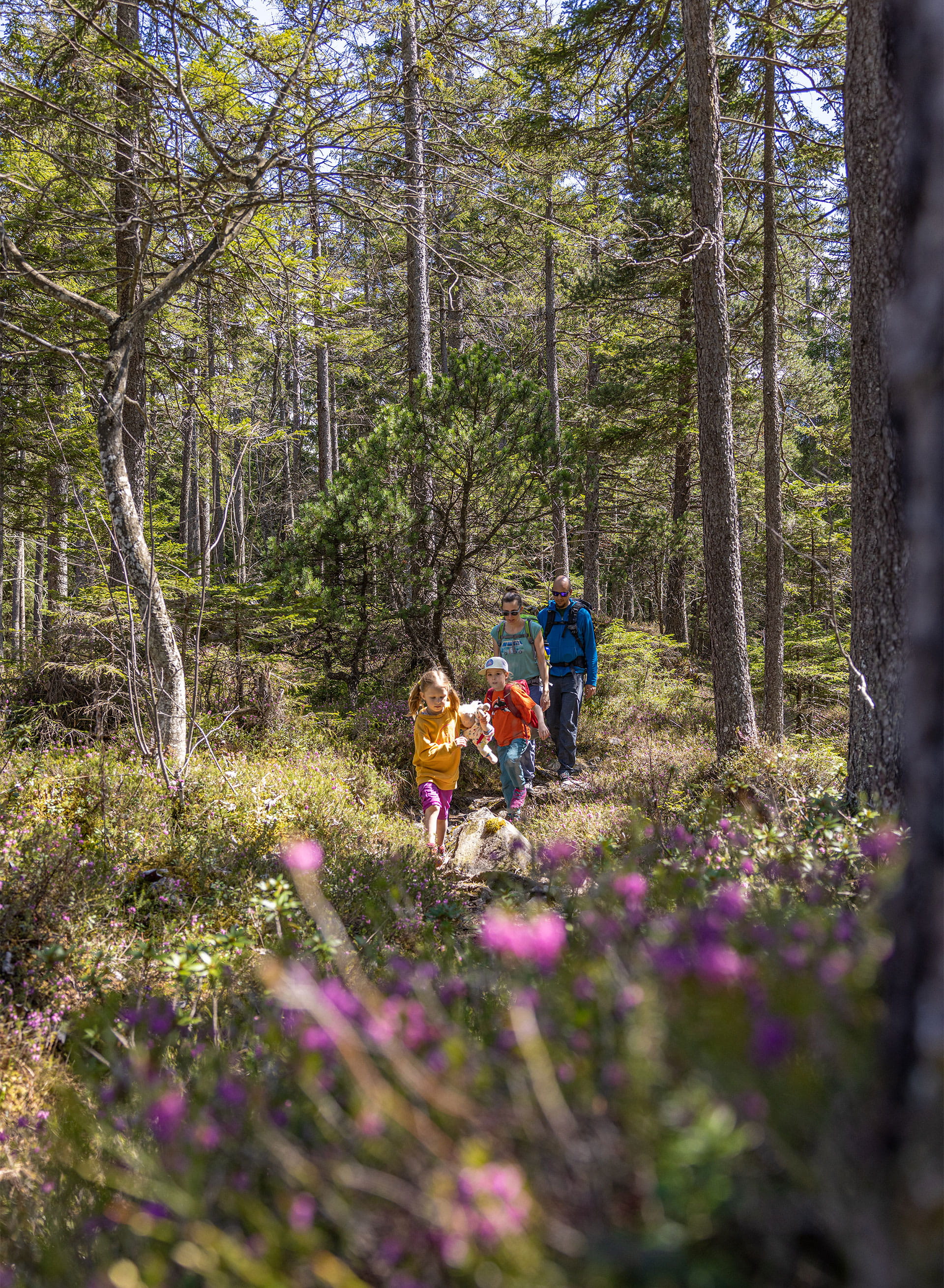 Wildnistrail Kandersteg 1