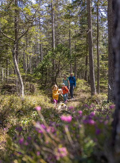 Familie auf dem Wildnis-Trail Kandersteg  Wildnistrail Kandersteg 1