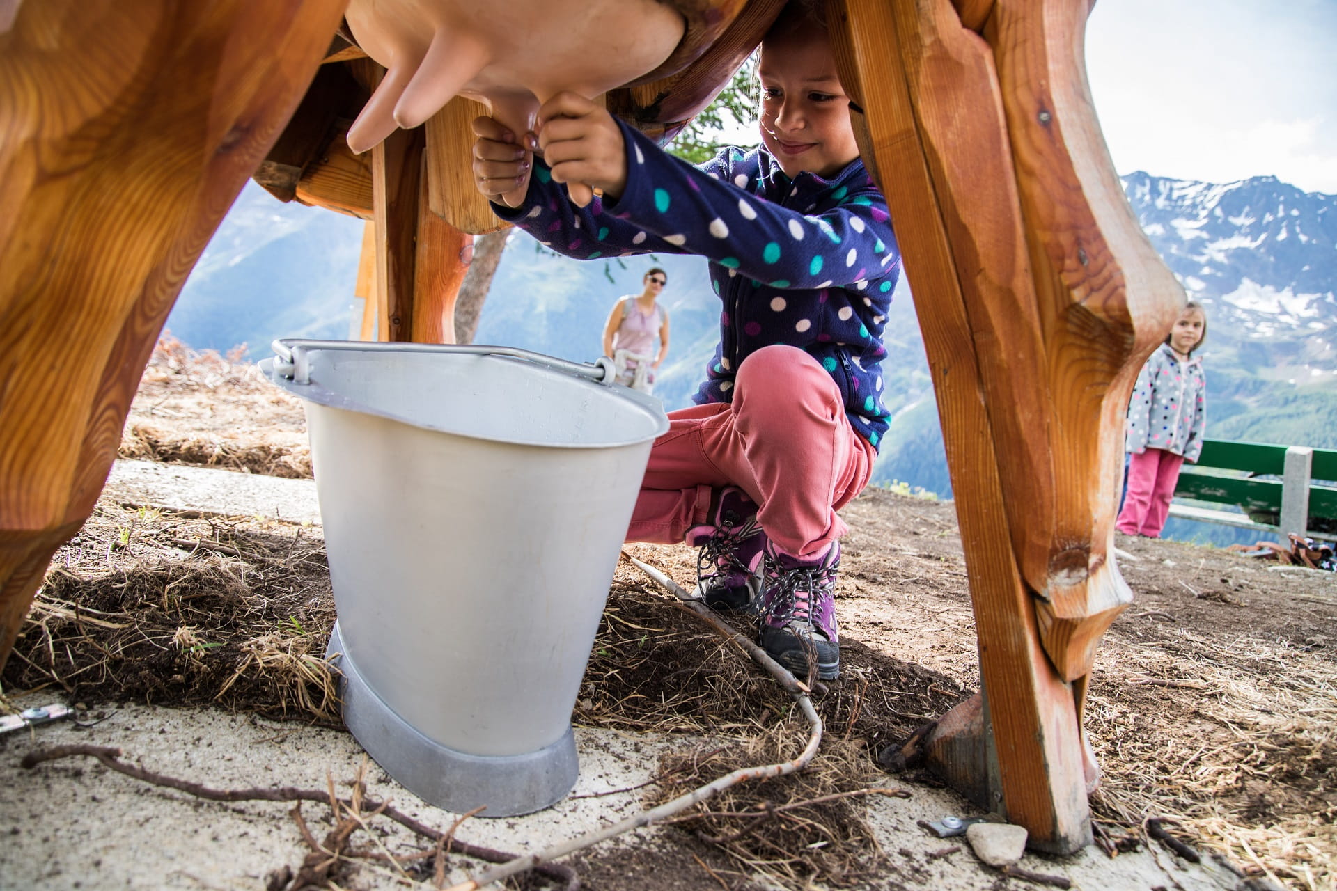 Kuhmelken auf dem Alperlebnisweg Lauchernalp