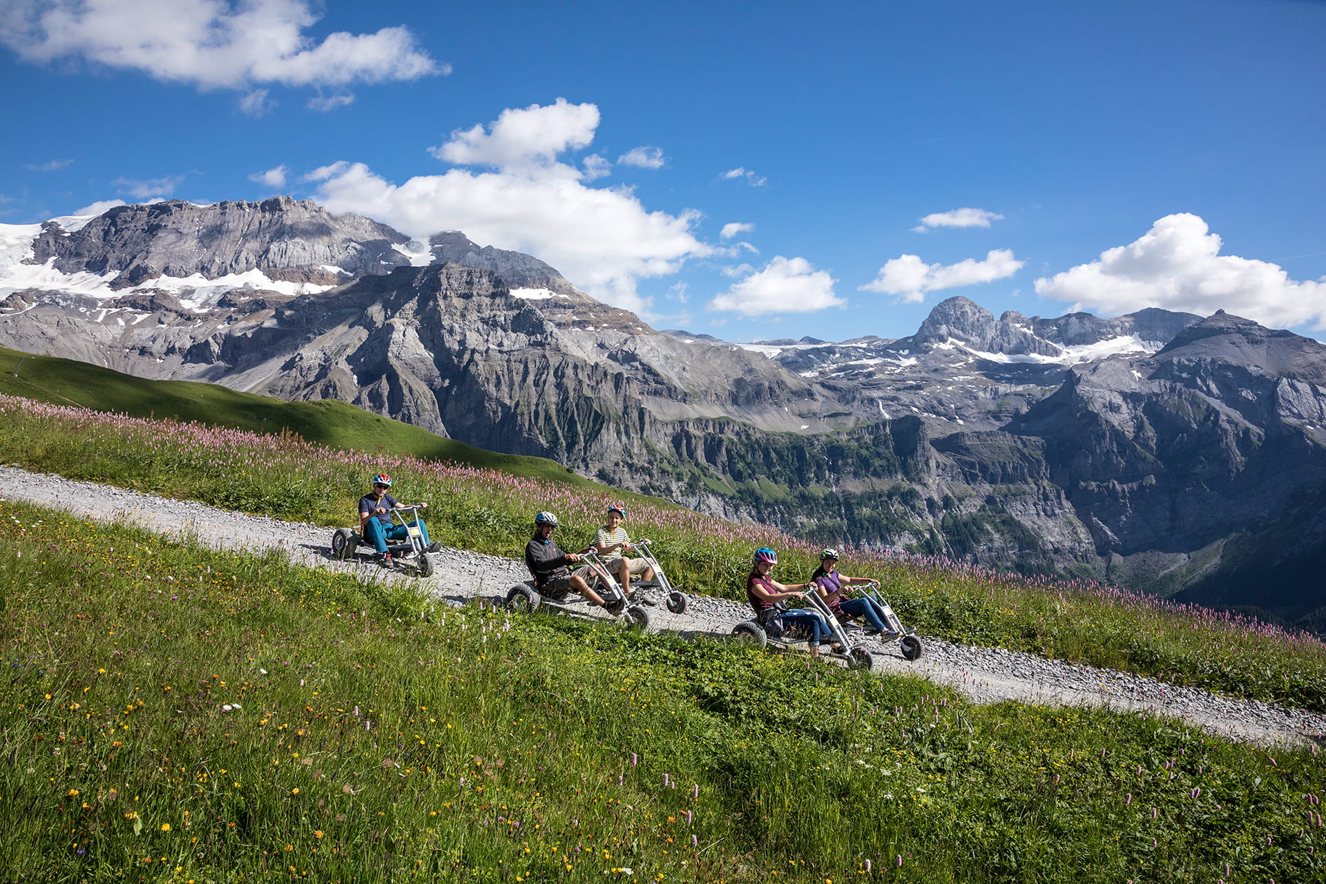Lenk-Mountain-Cart-2