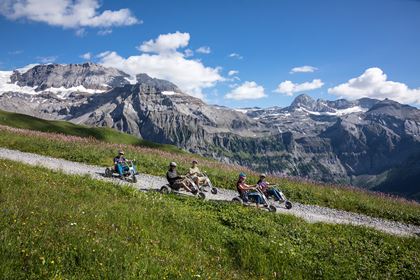 Lenk-Mountain-Cart-2